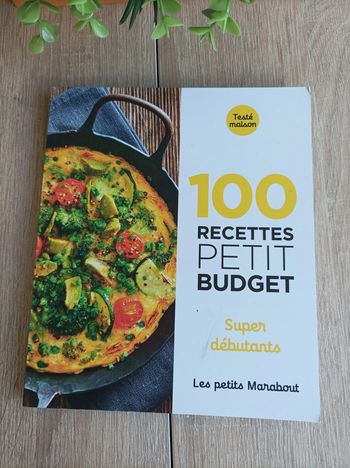 Livre cuisine 100 recettes Petit Budjet