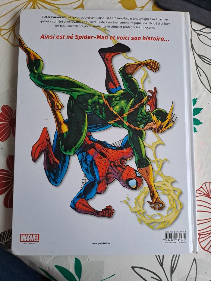 Spiderman la naissance d un héros - photo numéro 2