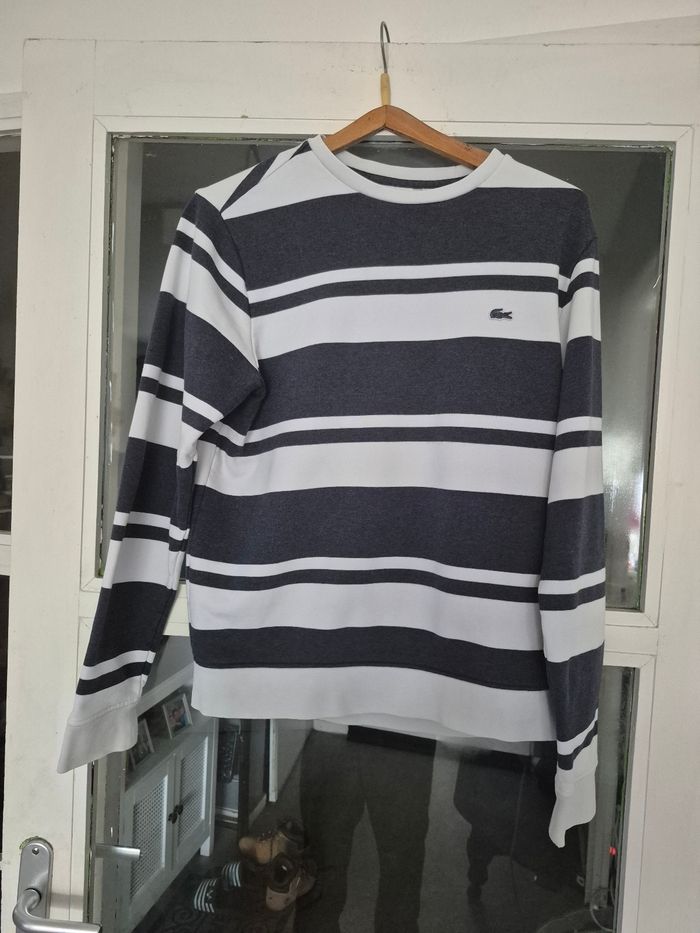Pull Lacoste