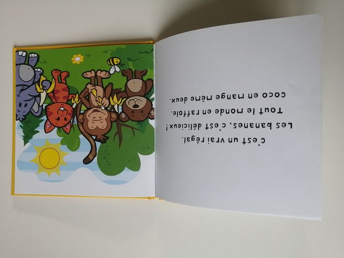 livre enfant - photo numéro 9