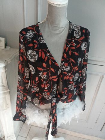 Blouse manche longue Transparence