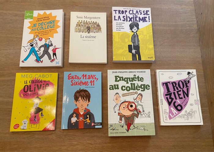 Lot de romans et guides pour l’entrée en 6e