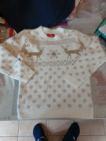 Pull de Noël neuf Gémo 10A