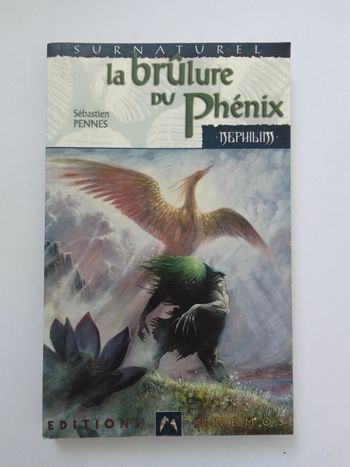 Sébastien Pennes - La brûlure du Phoenix