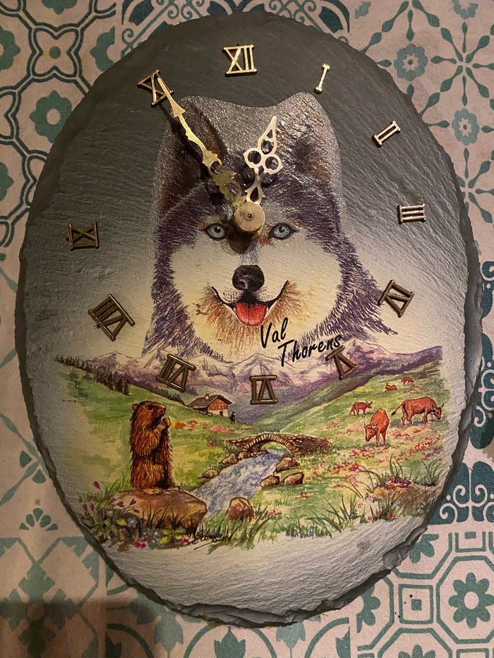Ardoise husky