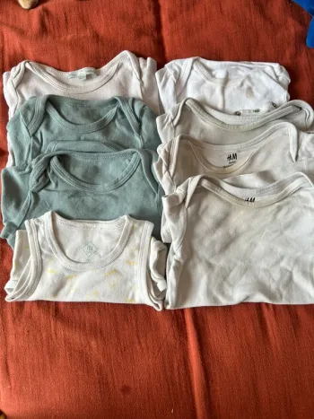 Lot bodies