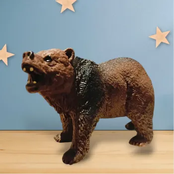 Magnifique ours 🐻