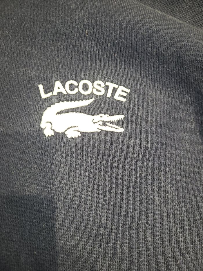 Sweat à capuche lacoste - photo numéro 4