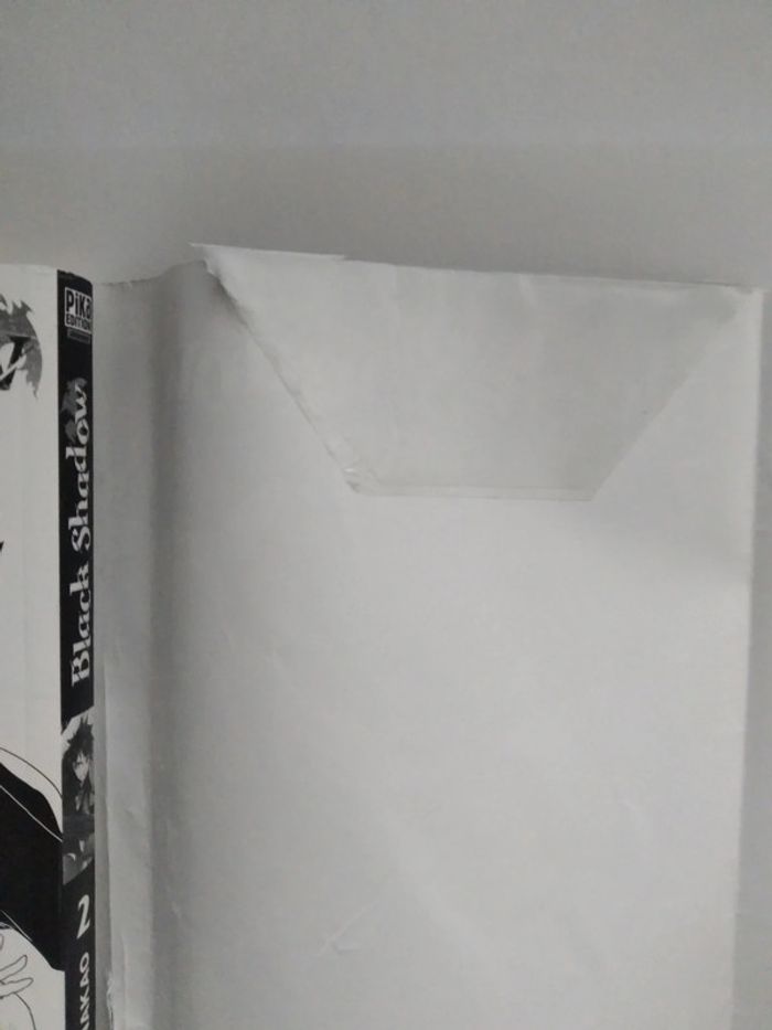 Black shadow 2 - photo numéro 10