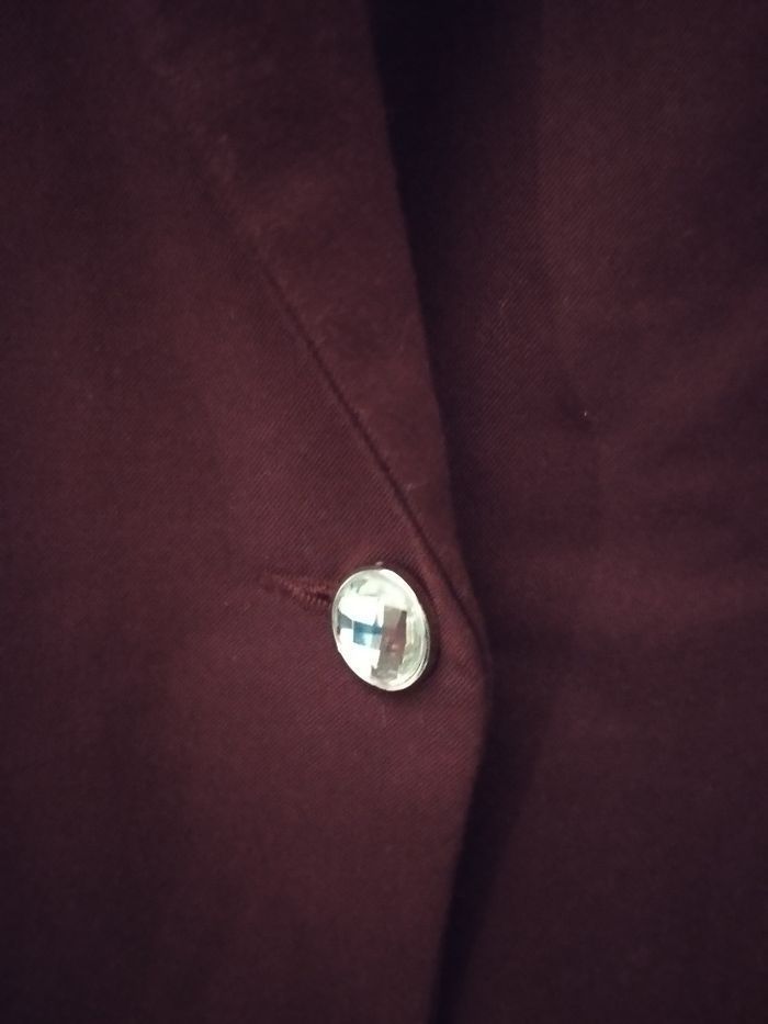 Belle veste bordeaux - photo numéro 3