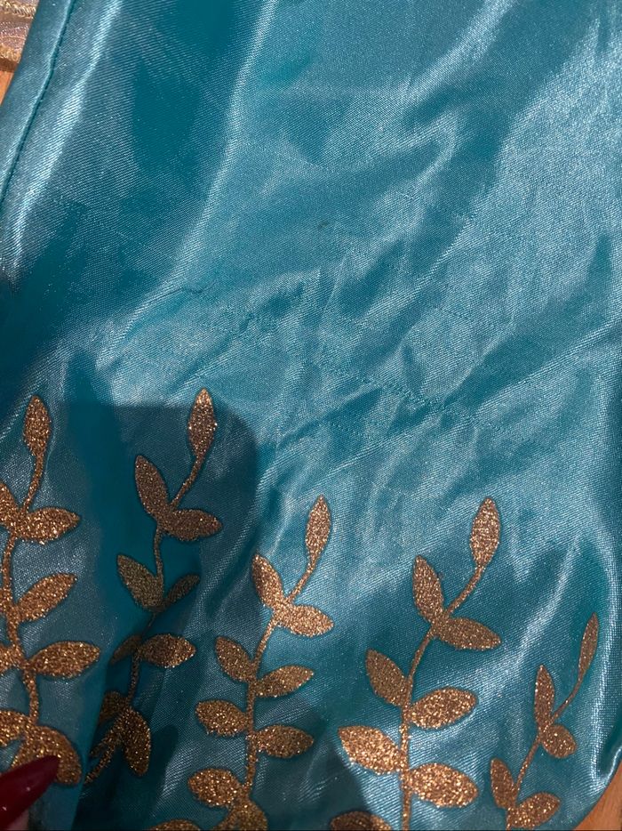 Deguisement Jasmine - photo numéro 3