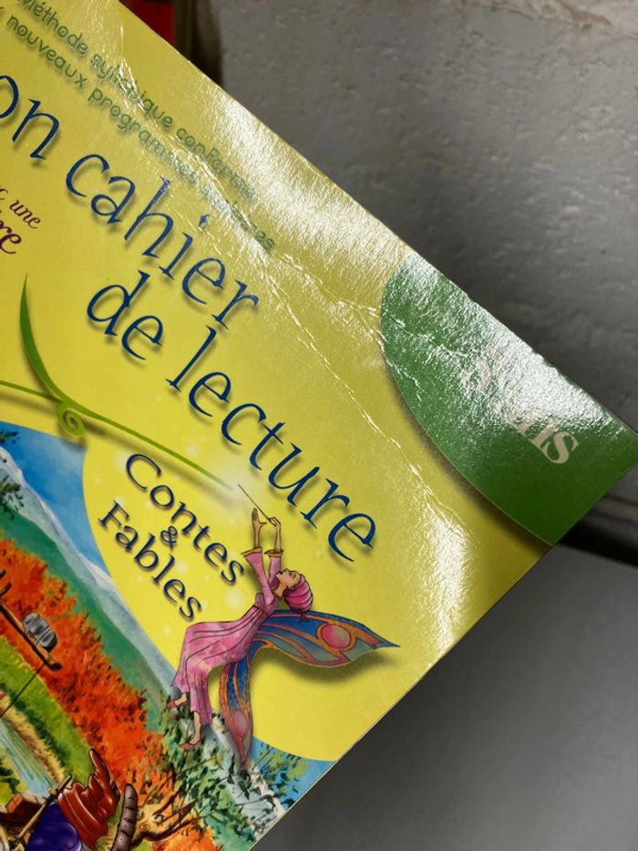 Cahier de lecture - photo numéro 6