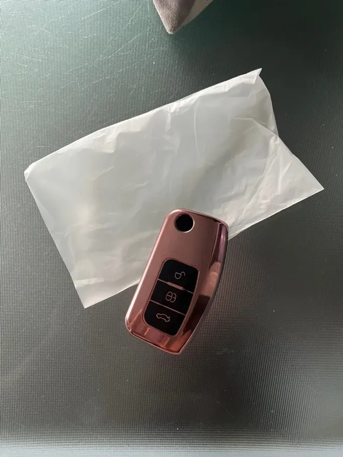 Étui pour clé Ford
