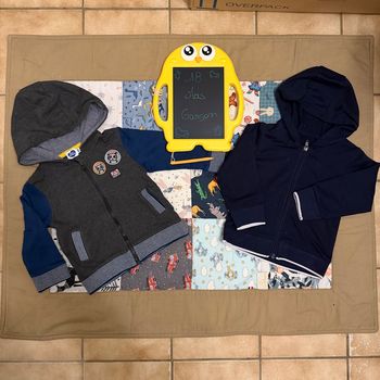 Vestes zippées et à capuches Garçon - T18mois 
