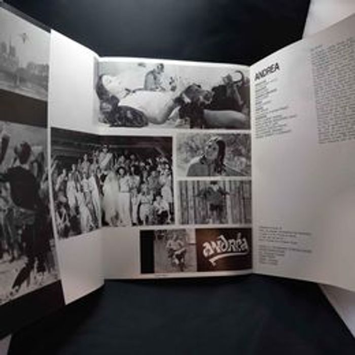 Affiche et synopsis du film Andréa - photo numéro 5