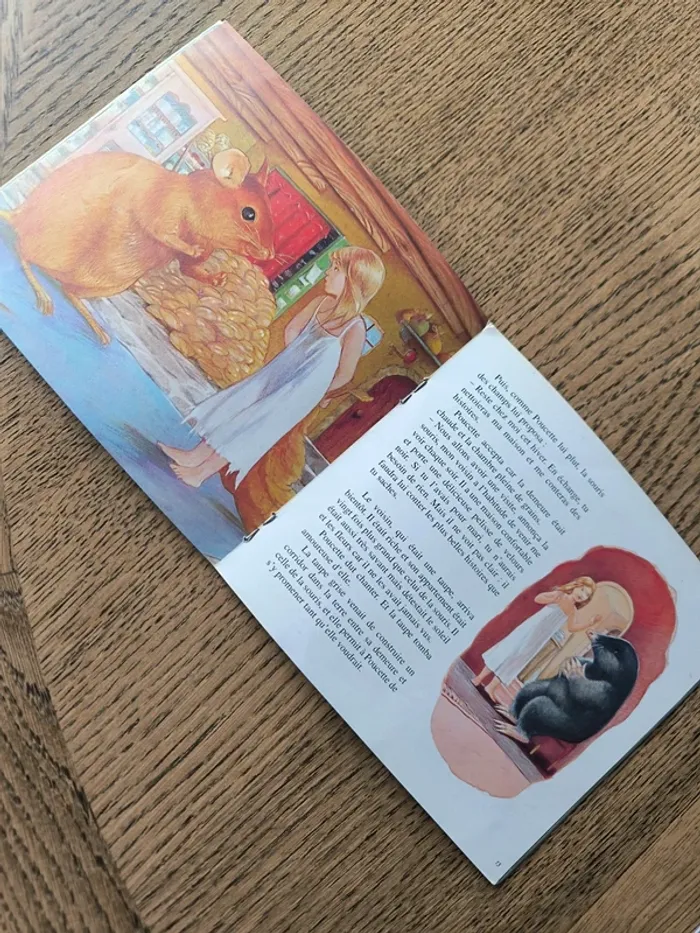 Livre "poucette" édition Flammarion - photo numéro 3