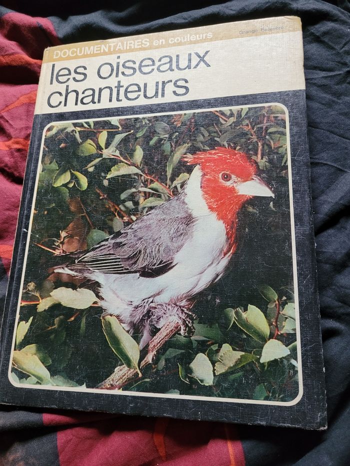 Les oiseaux chanteurs
