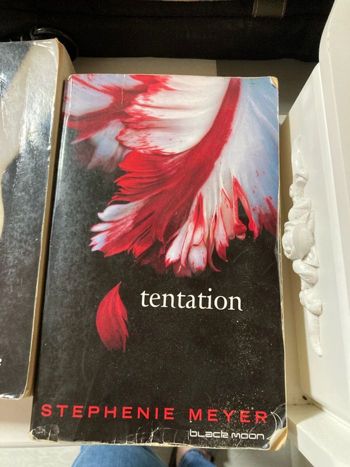 Lot 4 livres twilight - photo numéro 6