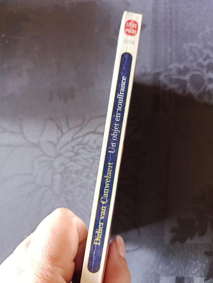 Un objet en souffrance de Didier Van Cauwelaert - photo numéro 2