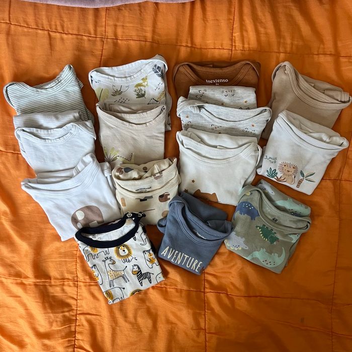 Lot 14 body manches courtes