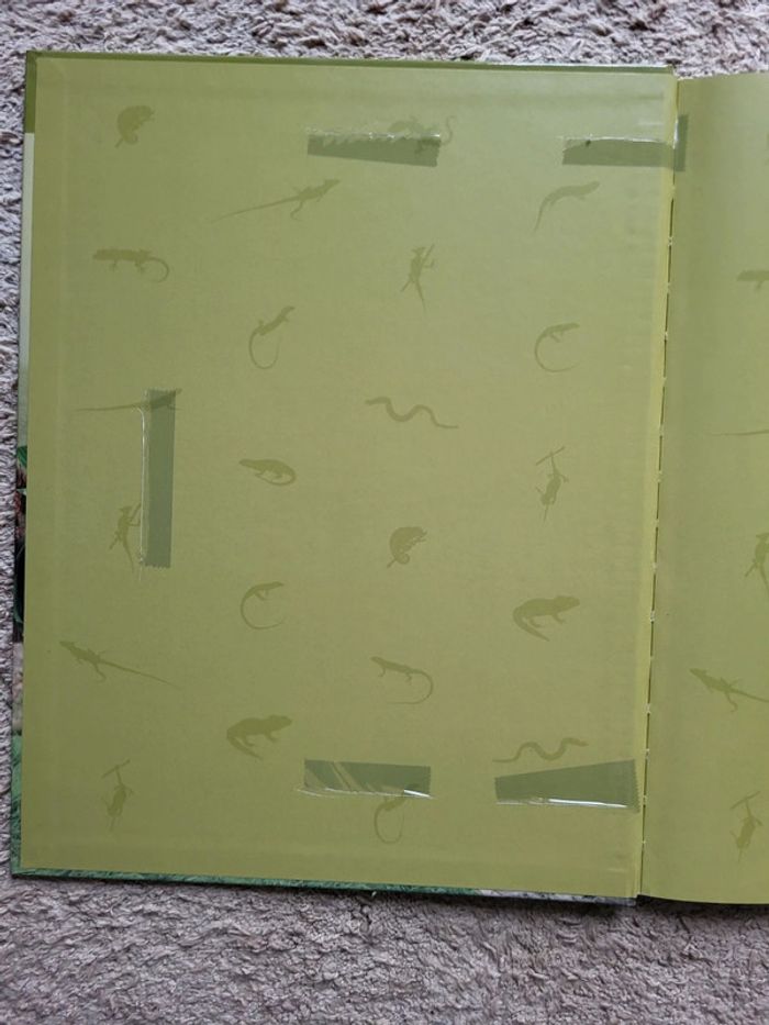 Livre documentaire enfant Une grande famille de reptiles, les lézards Atlas Junior des Animaux - photo numéro 12