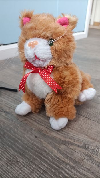 Peluche chat