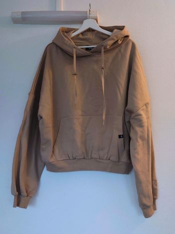 Hoodie Cloud beige Popflex