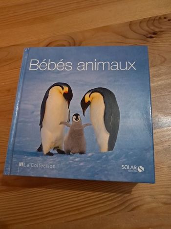 Bébés animaux