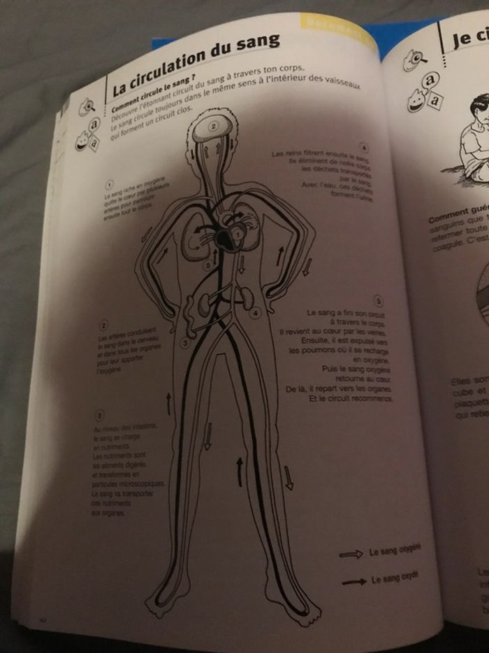 Sciences à vivre cycle 3 Accès Éditions - photo numéro 4