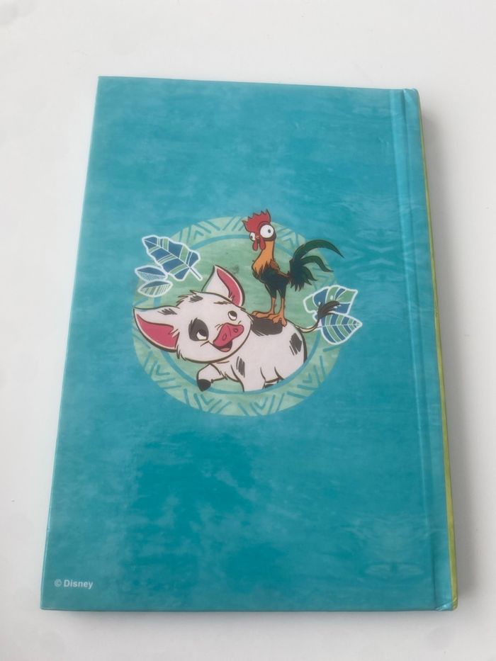 Carnet Vaiana - photo numéro 2