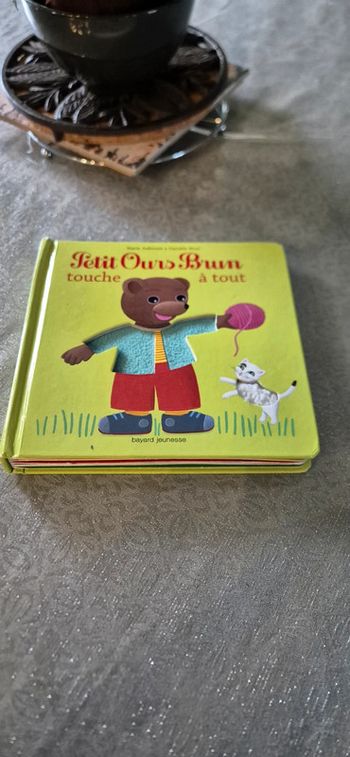 Livre petit ours brun touché à tout bayard jeunesse