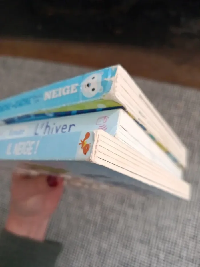 3 livres sur l'hiver - photo numéro 9
