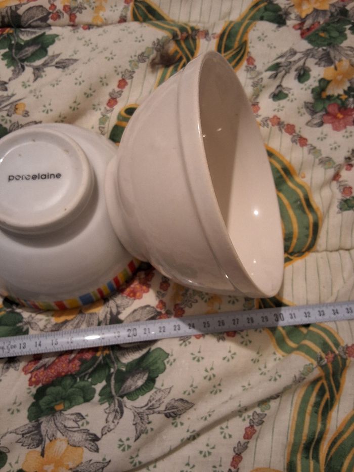 Deux bols - photo numéro 4