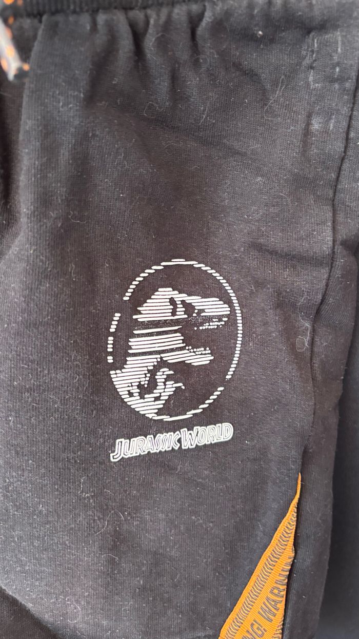 Ensemble - photo numéro 7