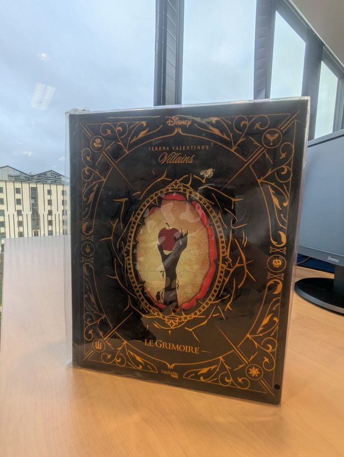 Livre grimoire vilains disney