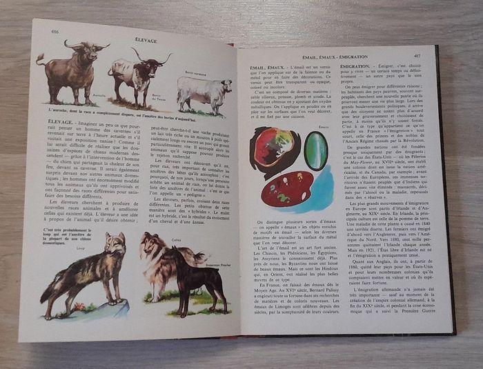 Encyclopédie du livre d'or pour garçons et filles tome 6 électronique à fleurs - photo numéro 5