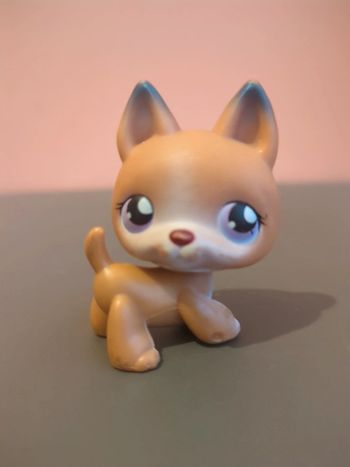 Littlest Petshop Lps Chien