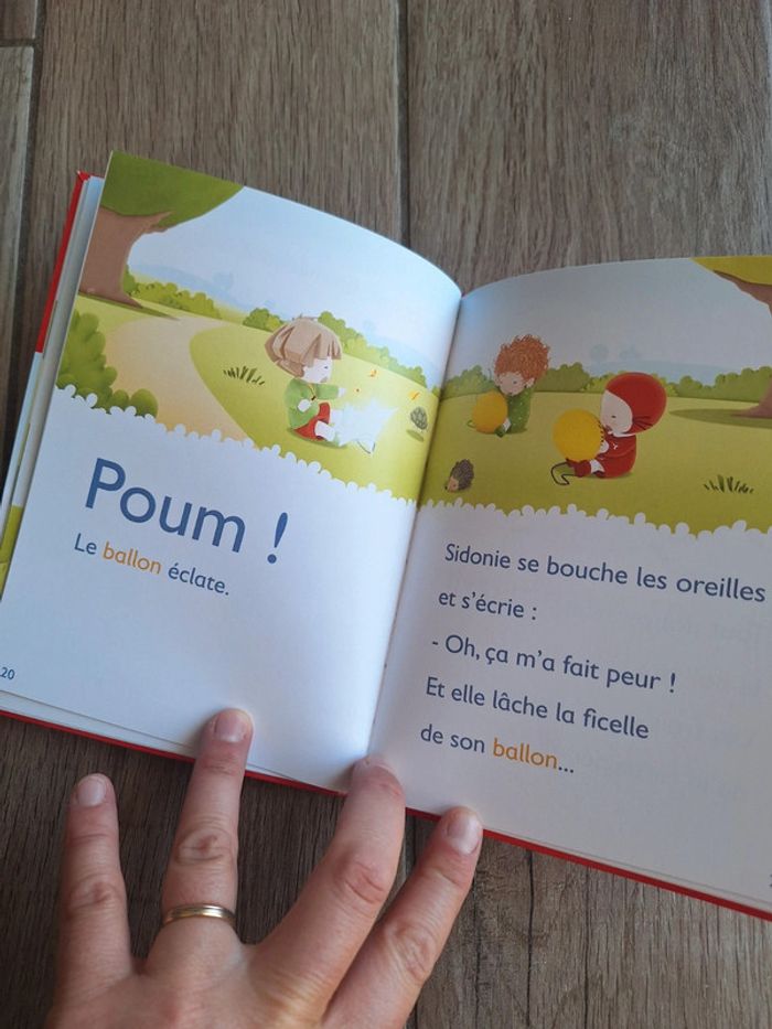 Livre emilie - photo numéro 2