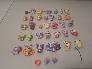 Lot 34 petshop