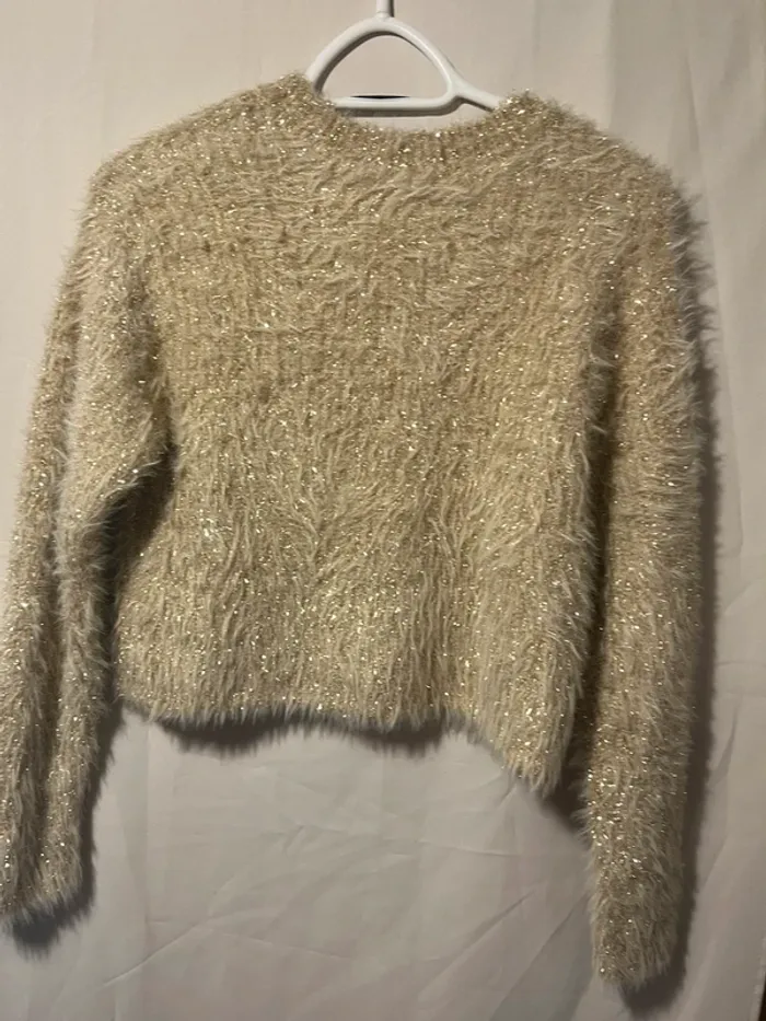 pull brillant - photo numéro 7