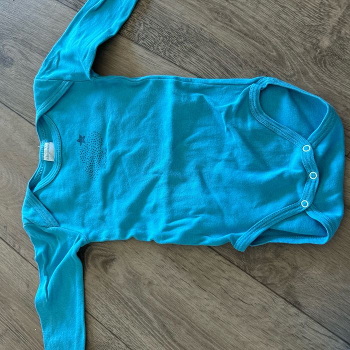 Bodies