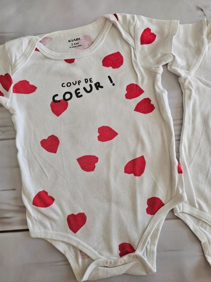 Lot bodies 24 mois - photo numéro 2