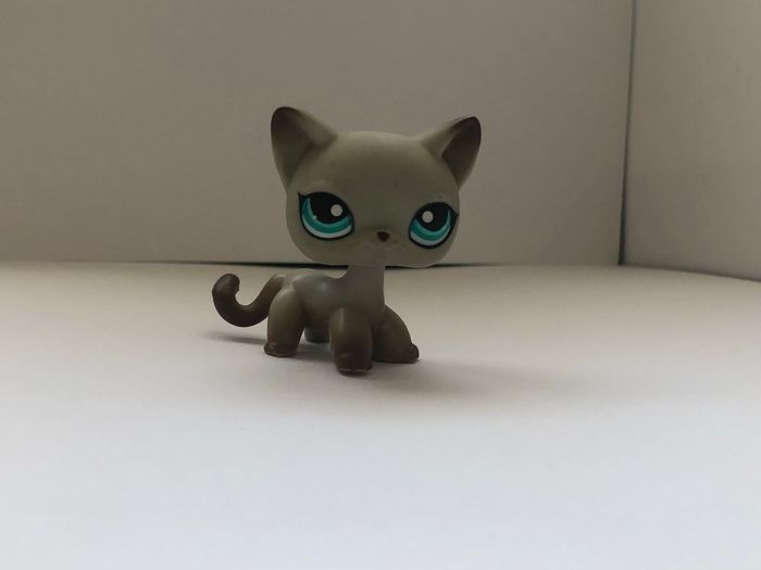 Pet shop : chat égyptien #391