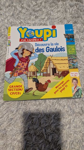 Youpi J'ai compris ! Découvre la vie des Gaulois.