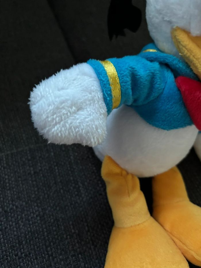 Donald - photo numéro 9