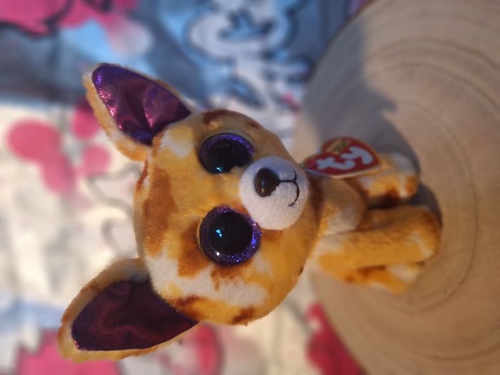 Peluche de collection Ty Beanie Boos PABLO Chihuahua 2015 - photo numéro 3
