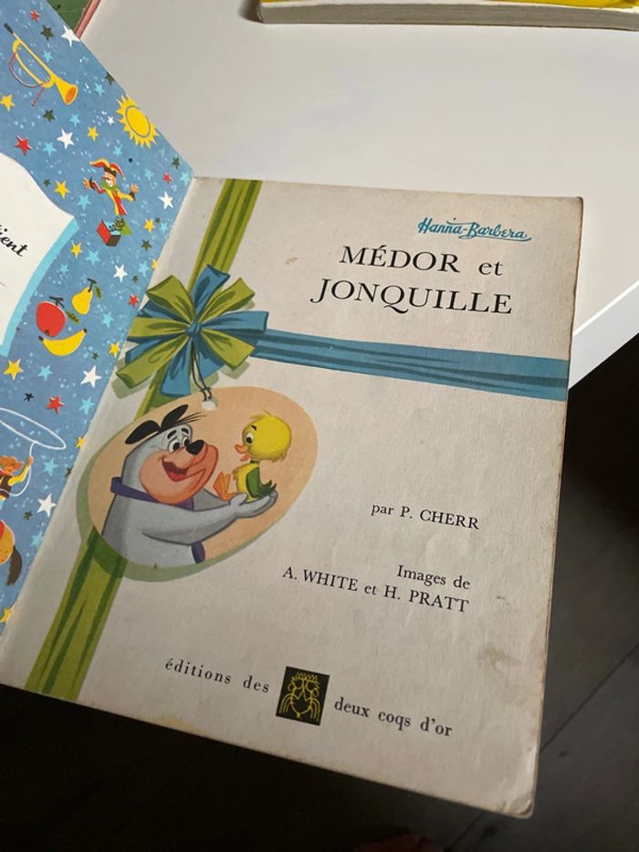Médor et jonquille petit livre d’or 214 - photo numéro 6