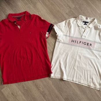 Polo tommy