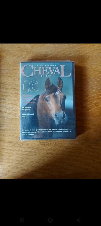 DVD