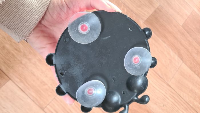 Coccinelle - photo numéro 2